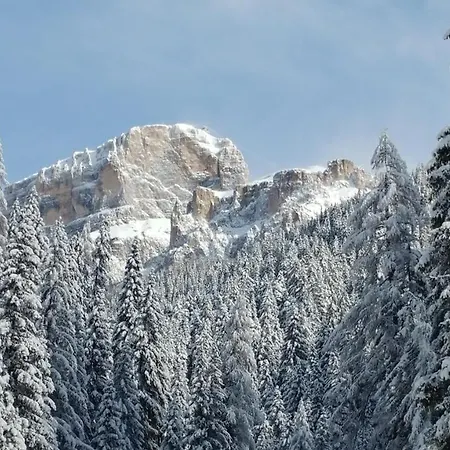 Casa Del Bosco 公寓 *