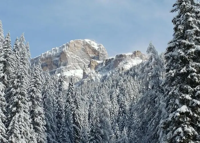 Casa Del Bosco Апартаменти *